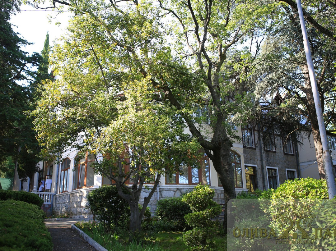 Oliva Park