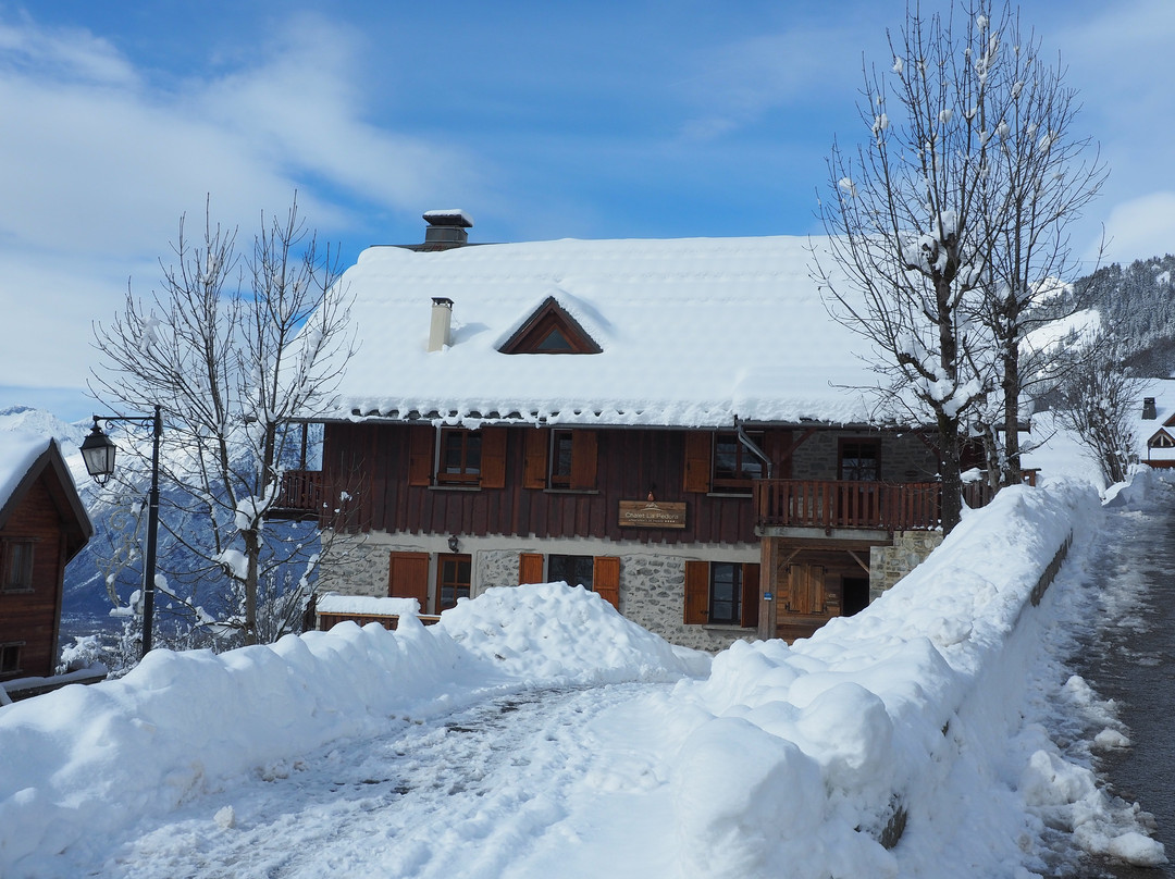 Vaujany酒店住宿-Chalet La Fedora