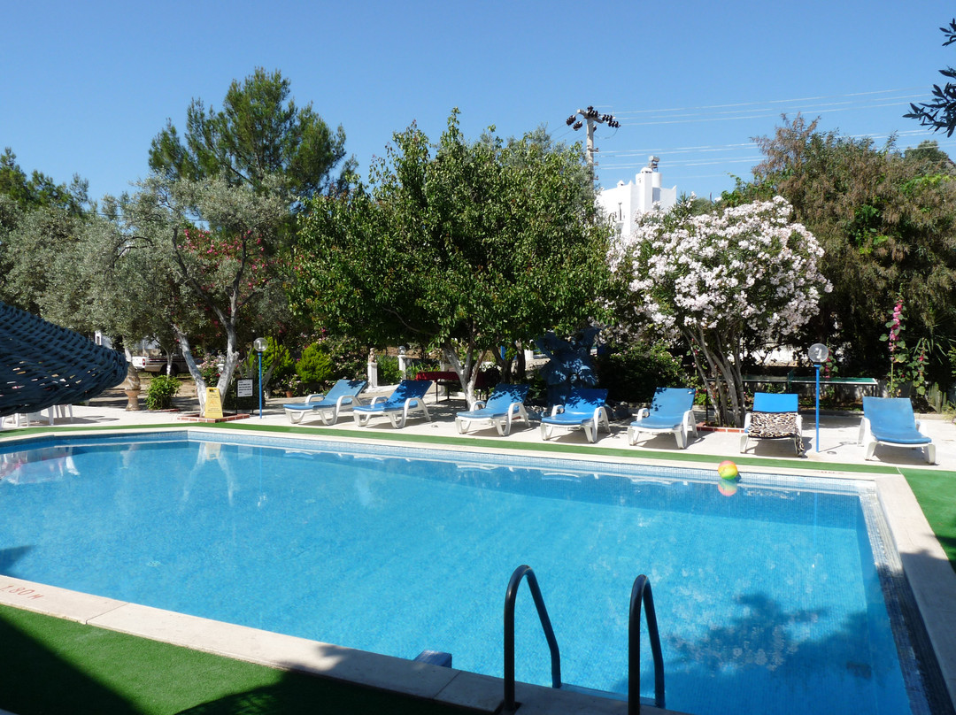 Ali Baba Hotel
