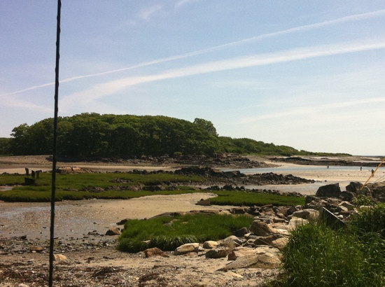 Vaughn's Island Preserve景点图片