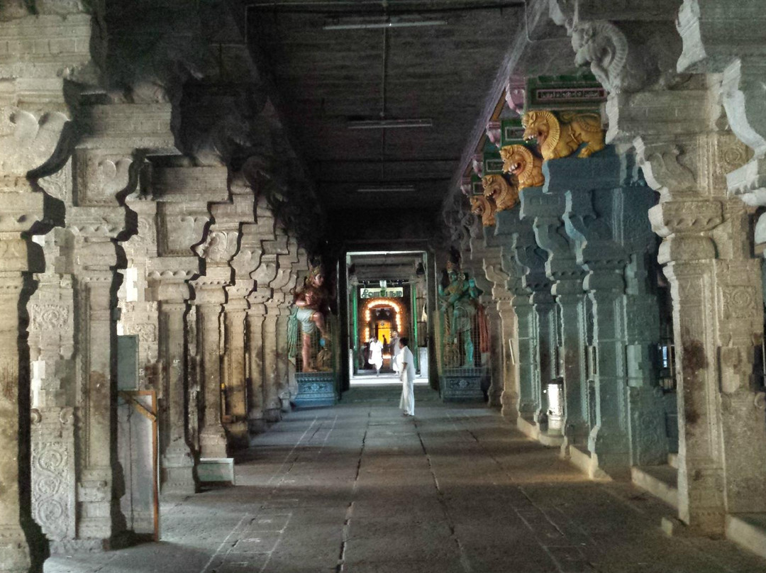 Thirunageswaram旅游攻略图片