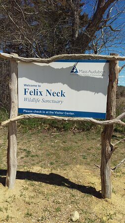 Mass Audubon Felix Neck Wildlife Sanctuary景点图片