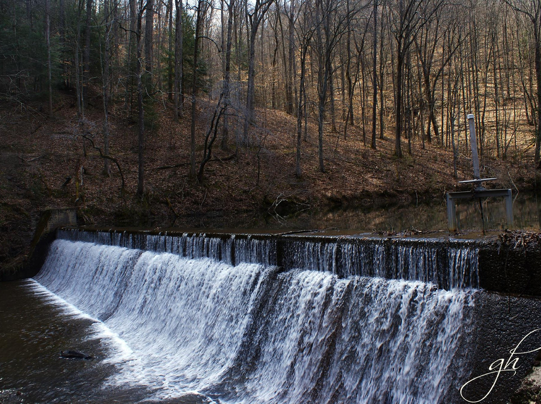 Kanawha State Forest景点图片