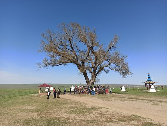 Odinokiy Topol-Khar-Buluk必去景点