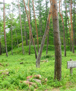 Ruins of Toishi Castle景点门票图片