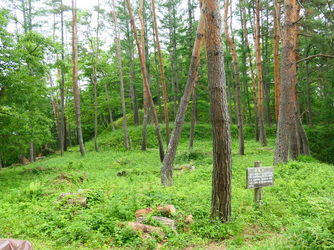 Ruins of Toishi Castle-上田市必去景点