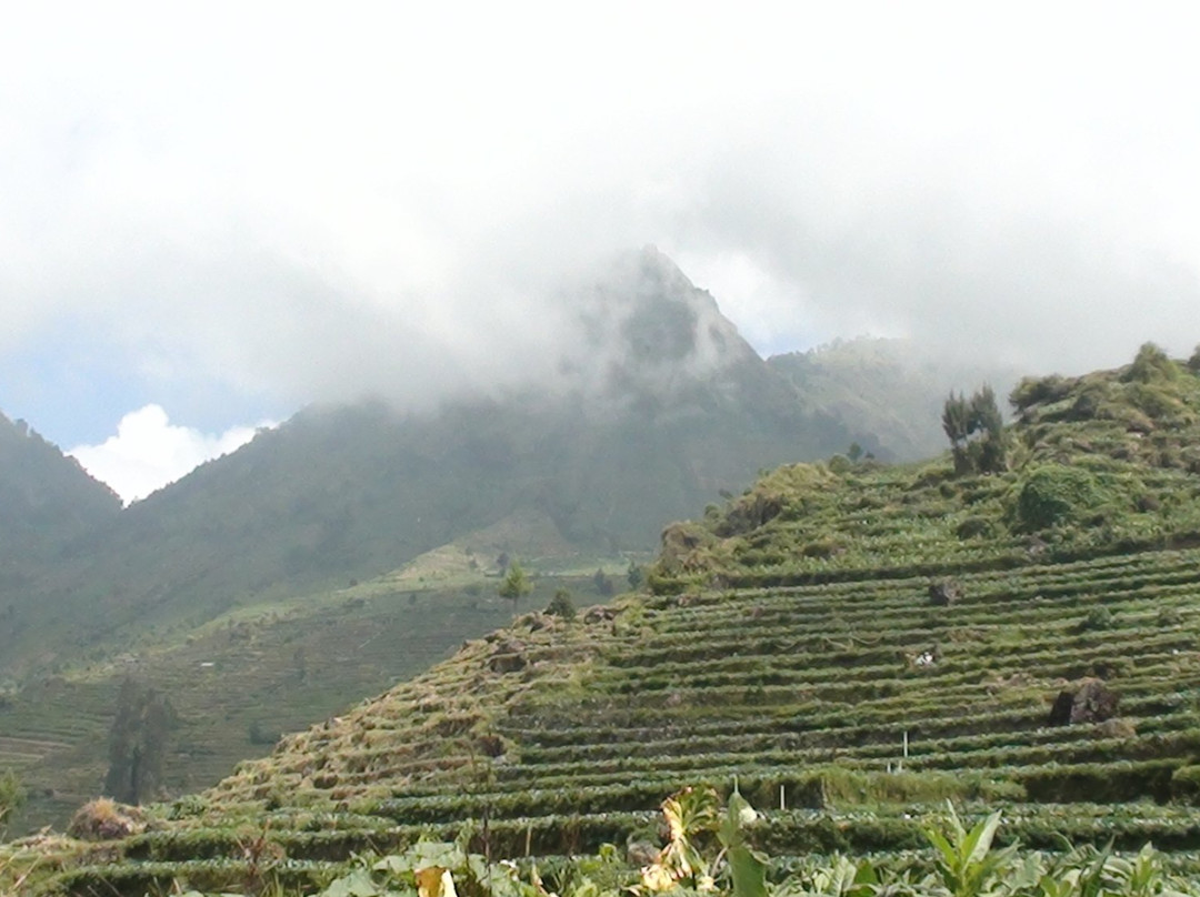 Dieng Volcano景点图片