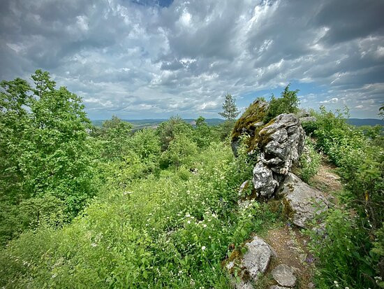 Gora Miedzianka Nature Reserve景点图片