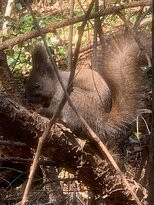 Geoje Okpo Battle Memorial Park-巨济市必去景点