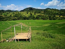 Jungle King Trekking Guide Services-格劳必去景点