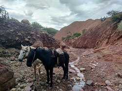 Aventurista Tour Operator-Tupiza必去景点