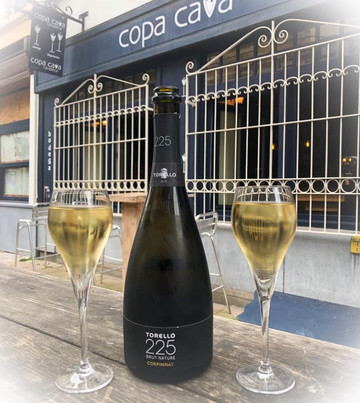 Copa Cava-安特卫普必去景点