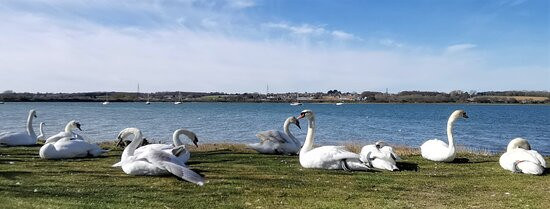 The Walls, Mistley Towers景点图片