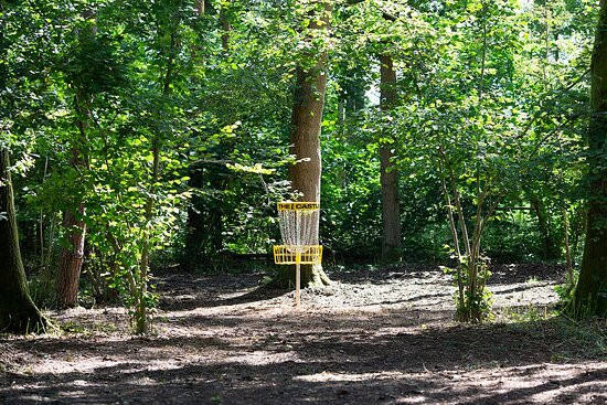 Gilly's Disc Golf景点图片