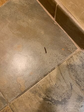 Craddock Terry Hotel, Lynchburg, a Tribute Portfolio Hotel主图