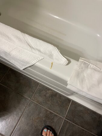 Quality Inn Gillette I-90 East主图