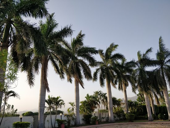 黑芒果渡假村主图