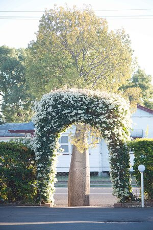 Starlight Motor Inn主图