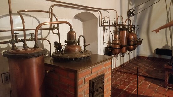 Museum of History of Lithuanian Medicine and Pharmacy-考那斯必去景点
