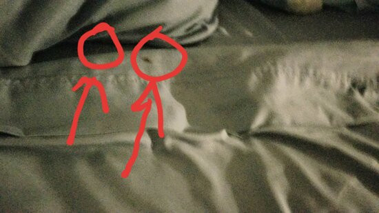 Dauphin Island Harbor House主图