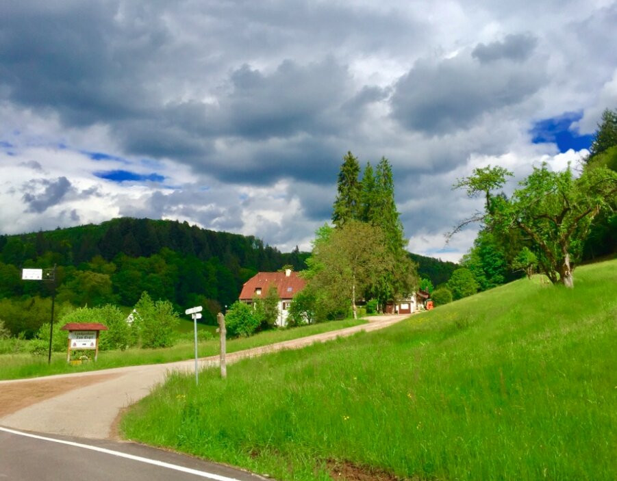Freiamt餐馆和美食-Landgasthaus Zum Engel