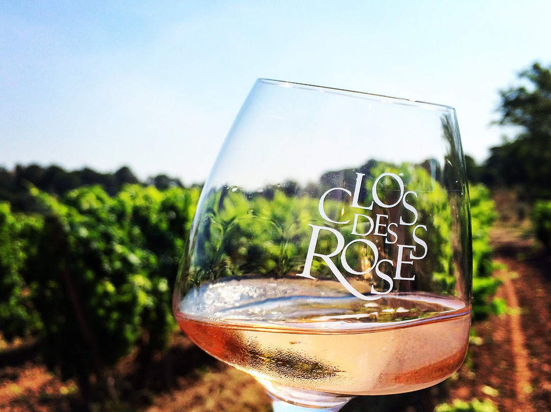 Vignoble du Clos des Roses景点图片
