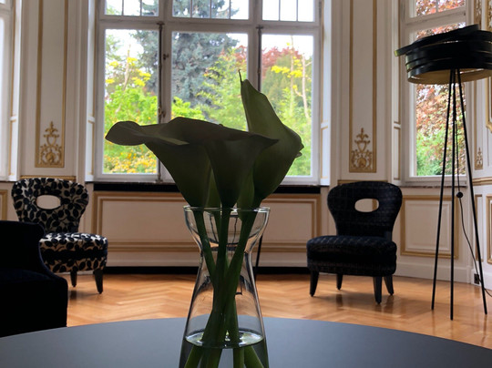 Villa Camoufle主图