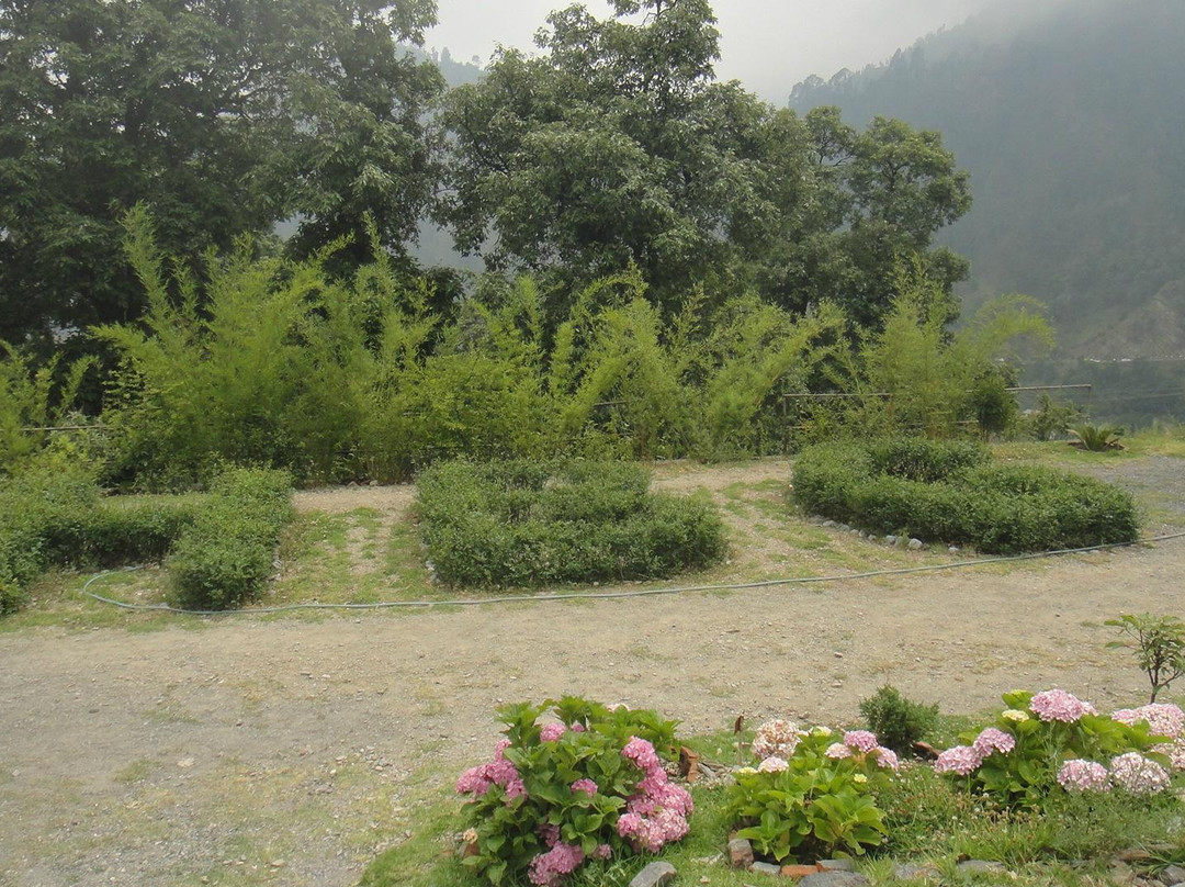 Himalayan Botanical Garden景点图片