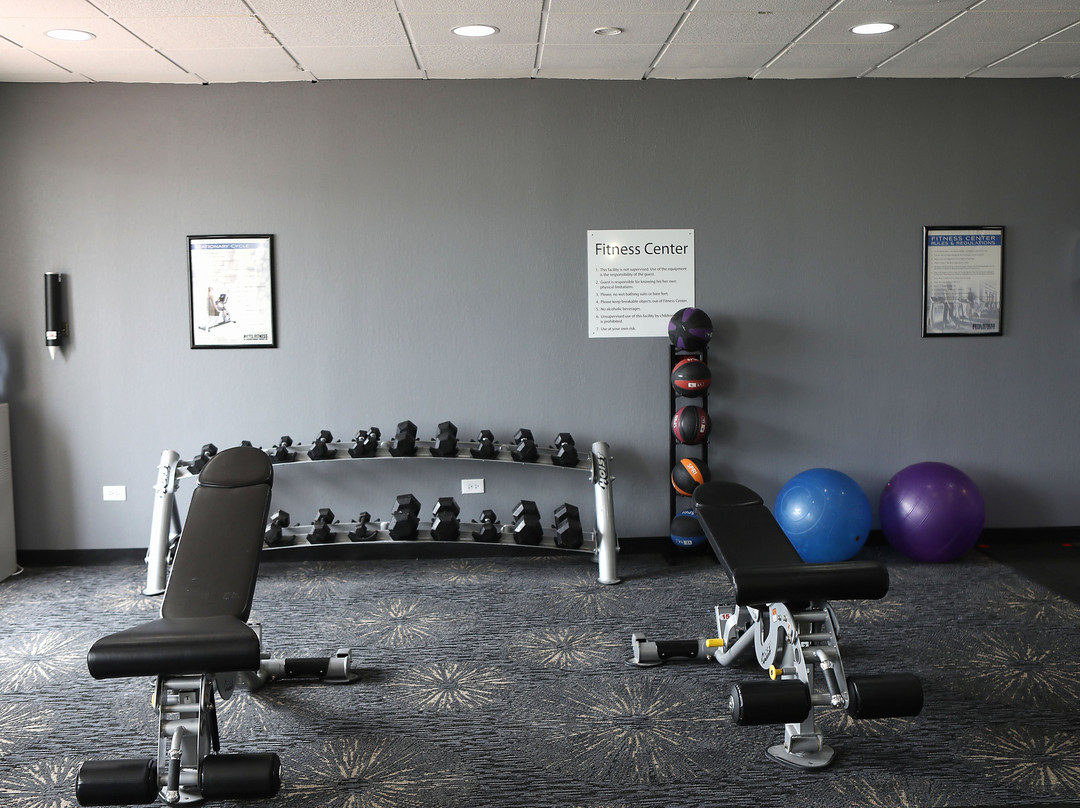 芝加哥欧克布鲁克假日酒店主图