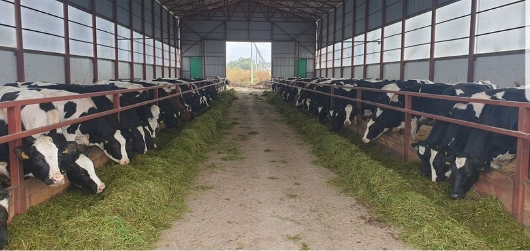 Mishnevo Farm-Mishnevo必去景点