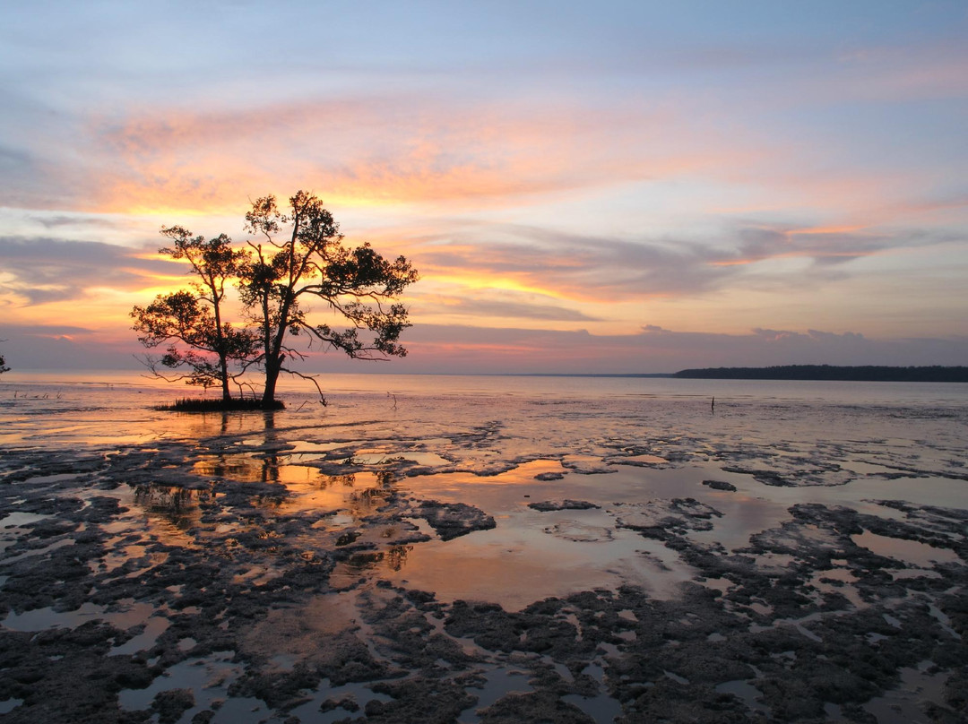 Tanjung Emas Park景点图片