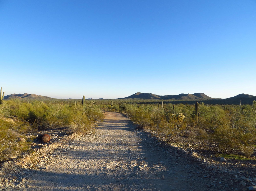 Queen Creek旅游攻略图片