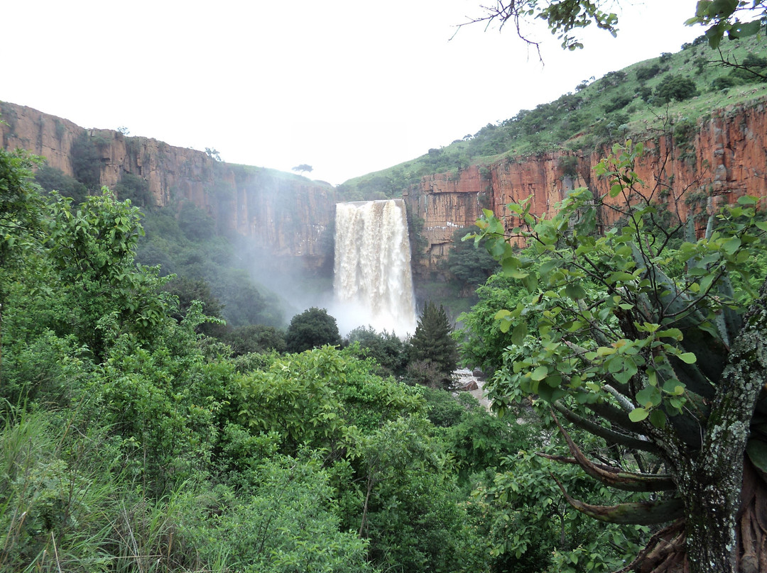 Elands River Waterfall景点图片