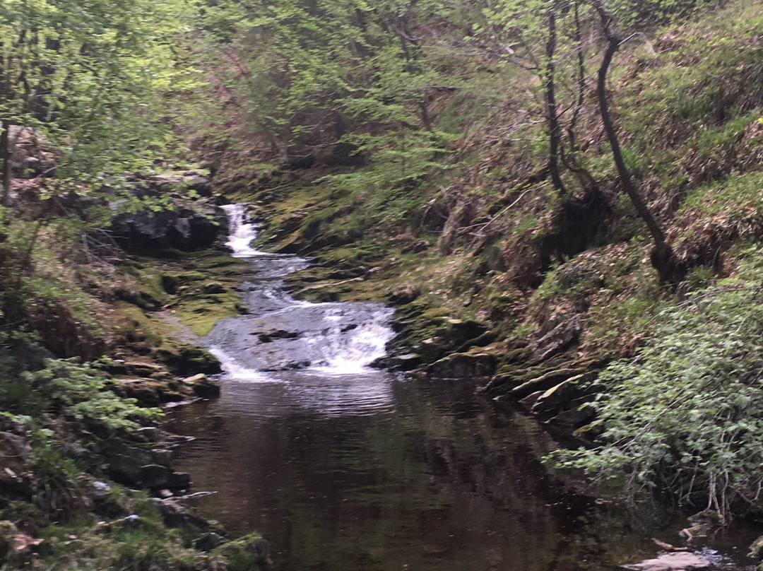 Hockai旅游攻略图片