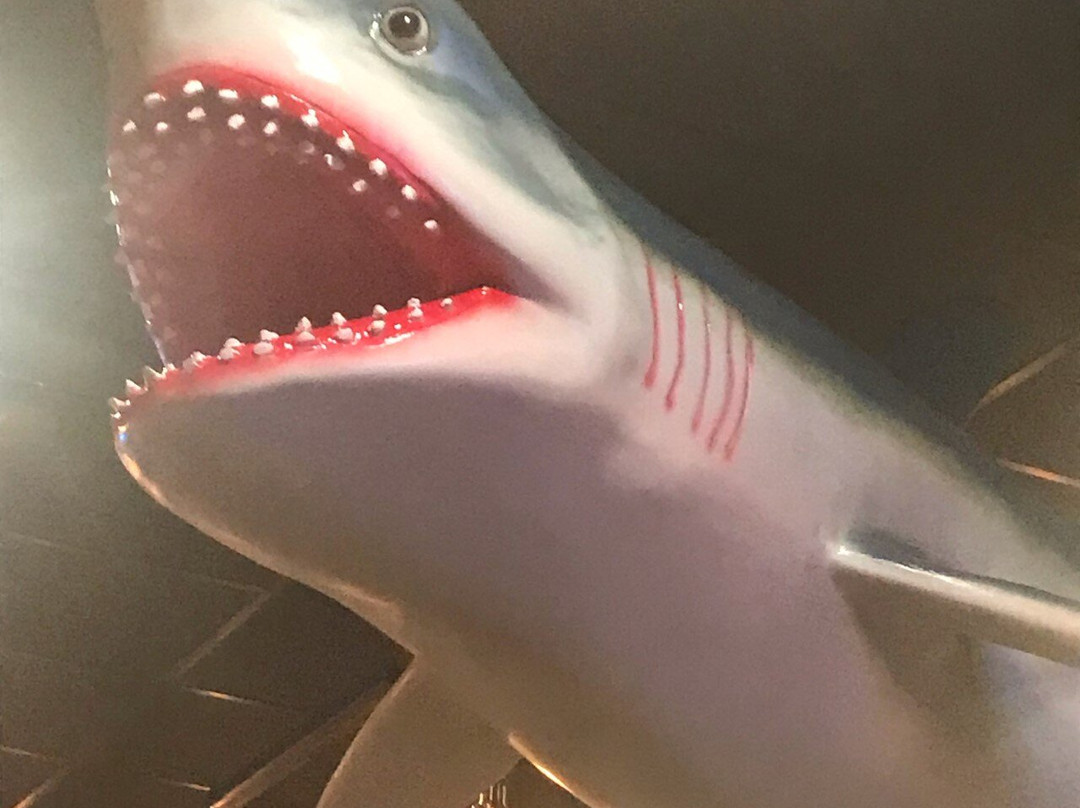 Mr. & Mrs. Crab Juicy Seafood & Bar