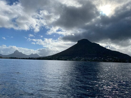 Whale Dream - Swim with Dolphins and Whale watching excursions in Mauritius景点图片