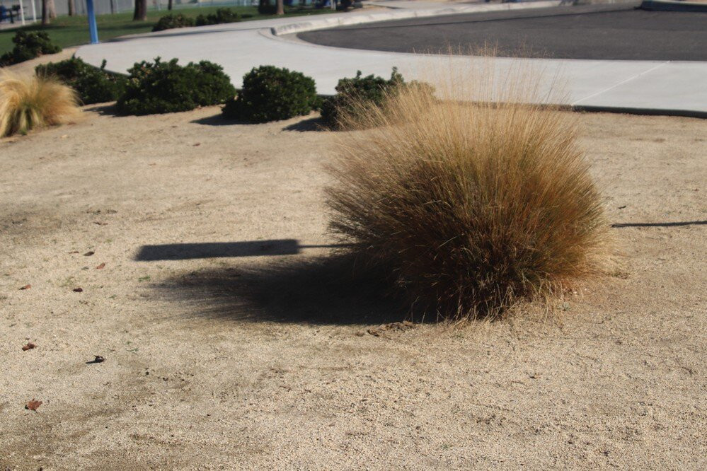 Fritz Burns Park-拉金塔必去景点