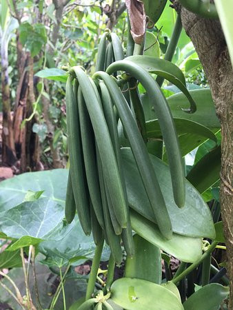 Uganda Crater Lakes Tours-Fort Portal必去景点