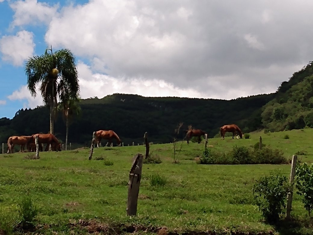 Cachoeira Puxa Nervos-Tibagi必去景点