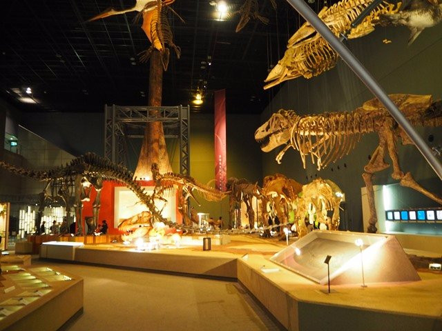 Kanagawa Prefectural Museum of Natural History景点图片