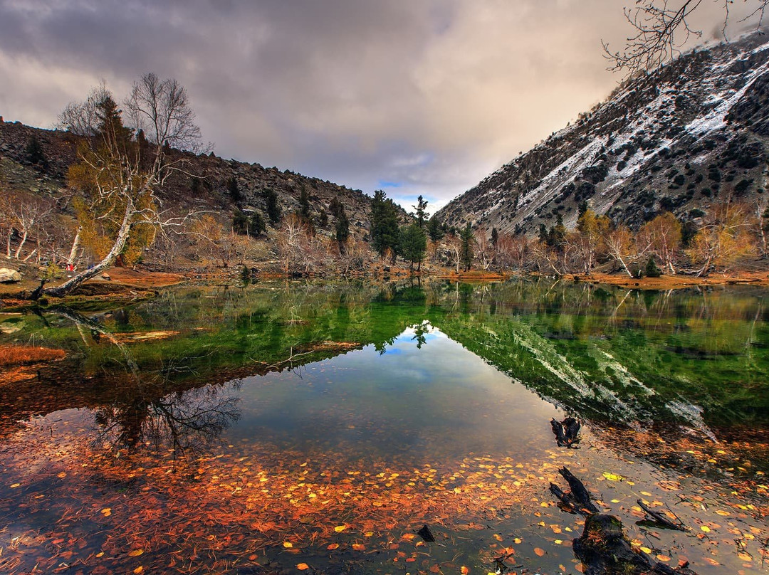 Naltar Lake-Naltar Valley必去景点