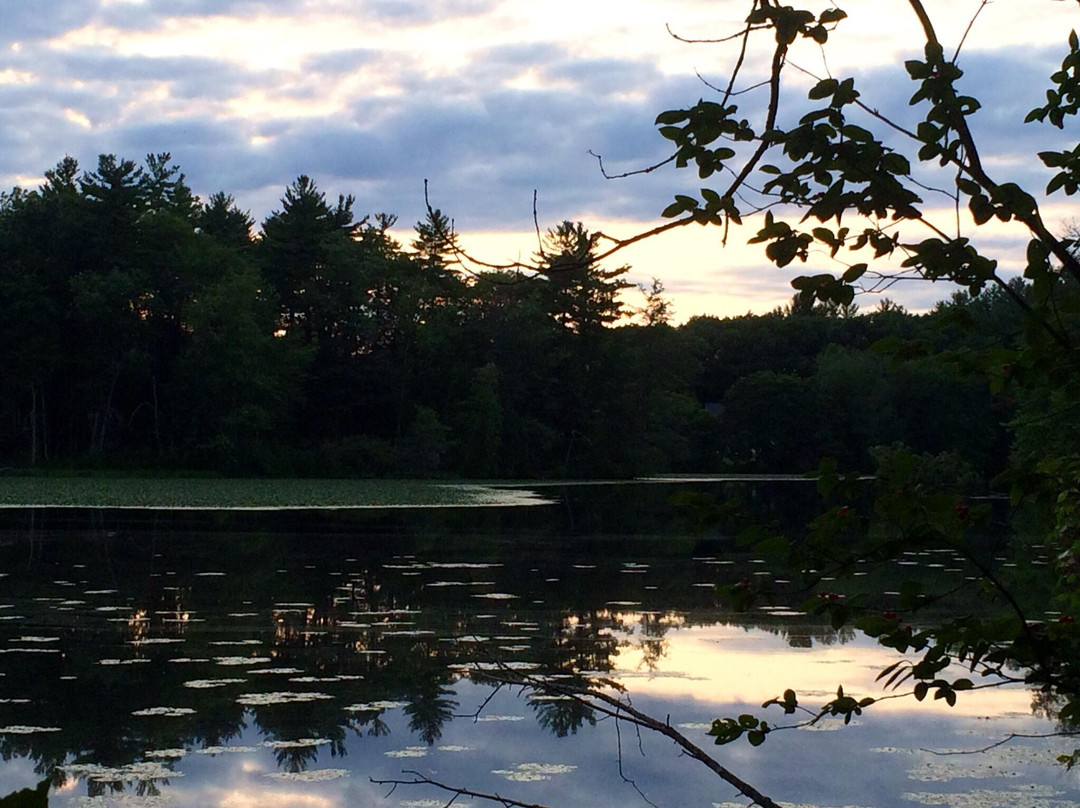 Nashua River Rail Trail景点图片