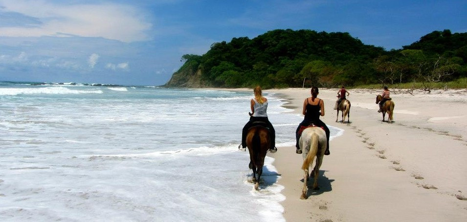 Horse Jungle-萨玛拉滩必去景点