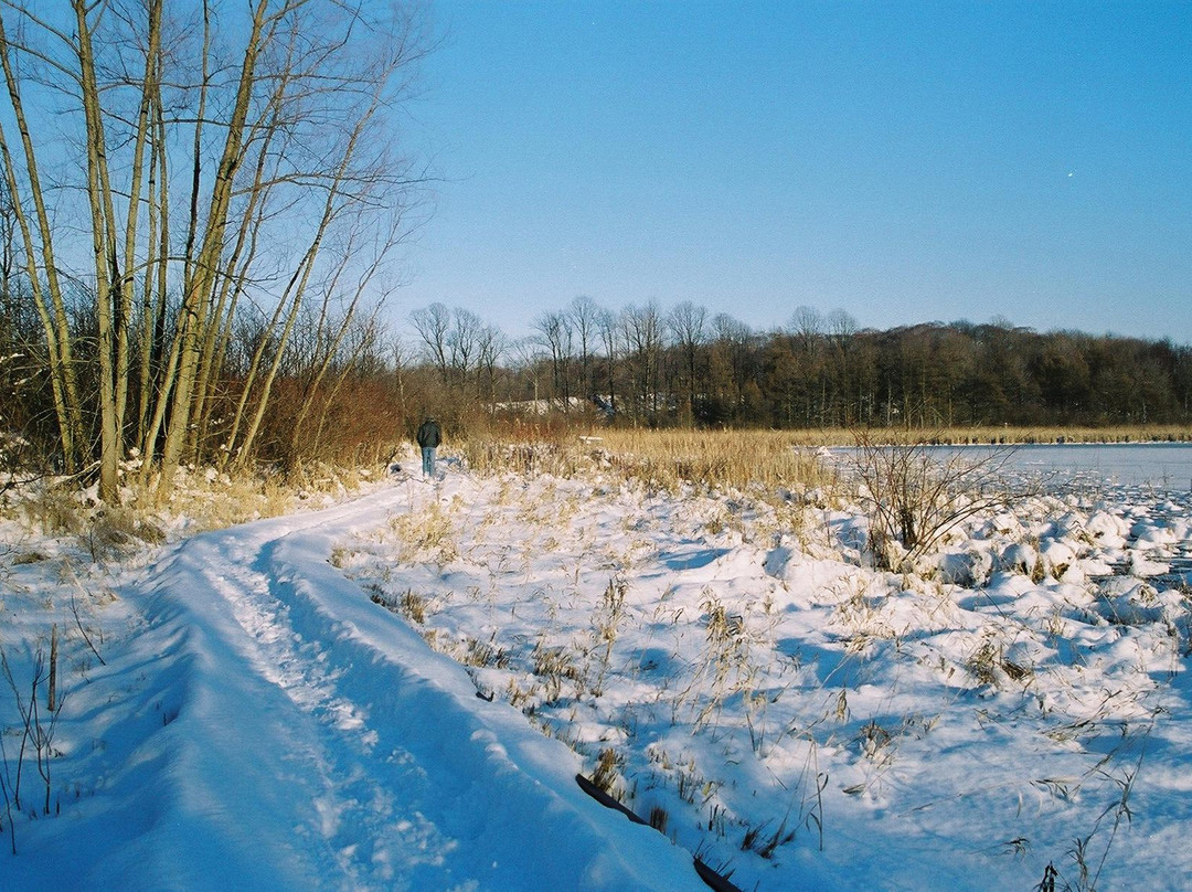 Streetsboro旅游攻略图片