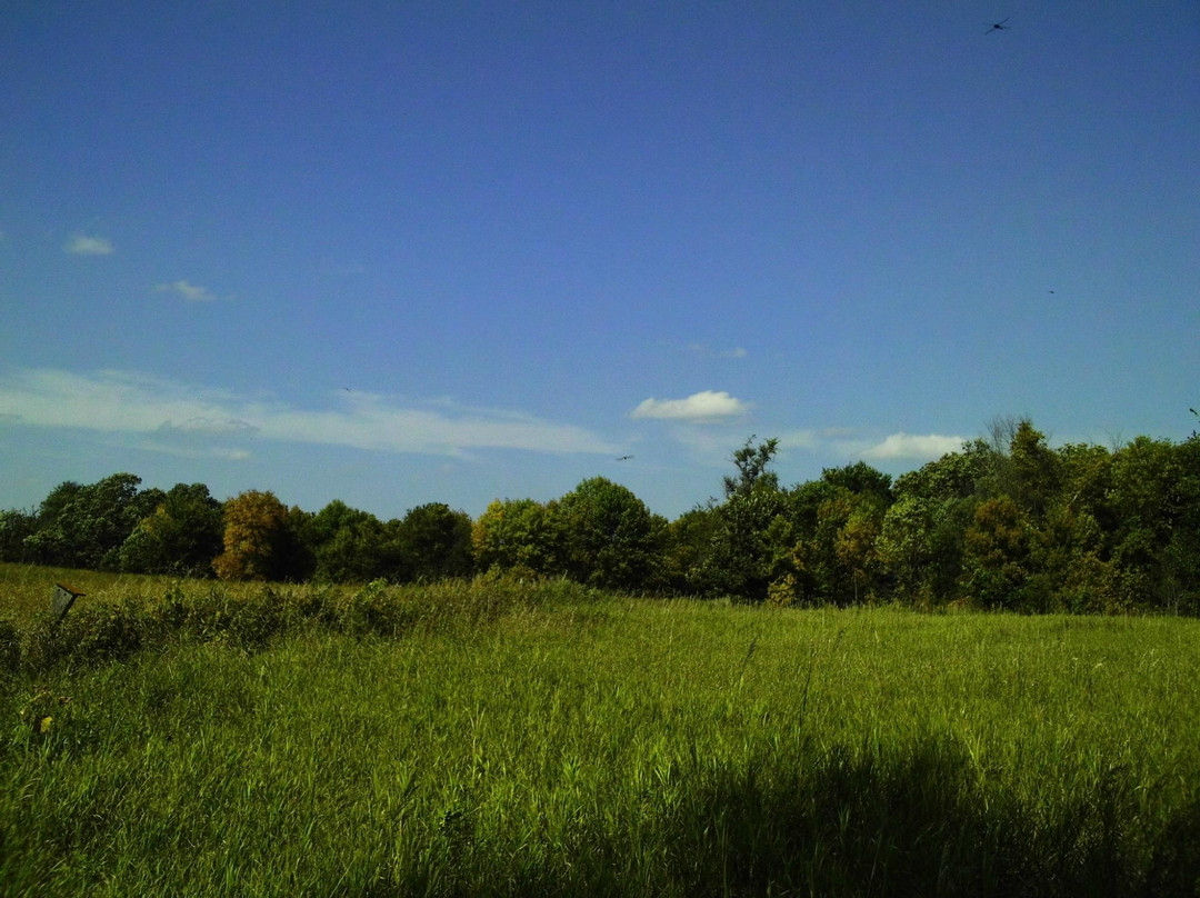 Greenleaf Lake State Recreation Area景点图片