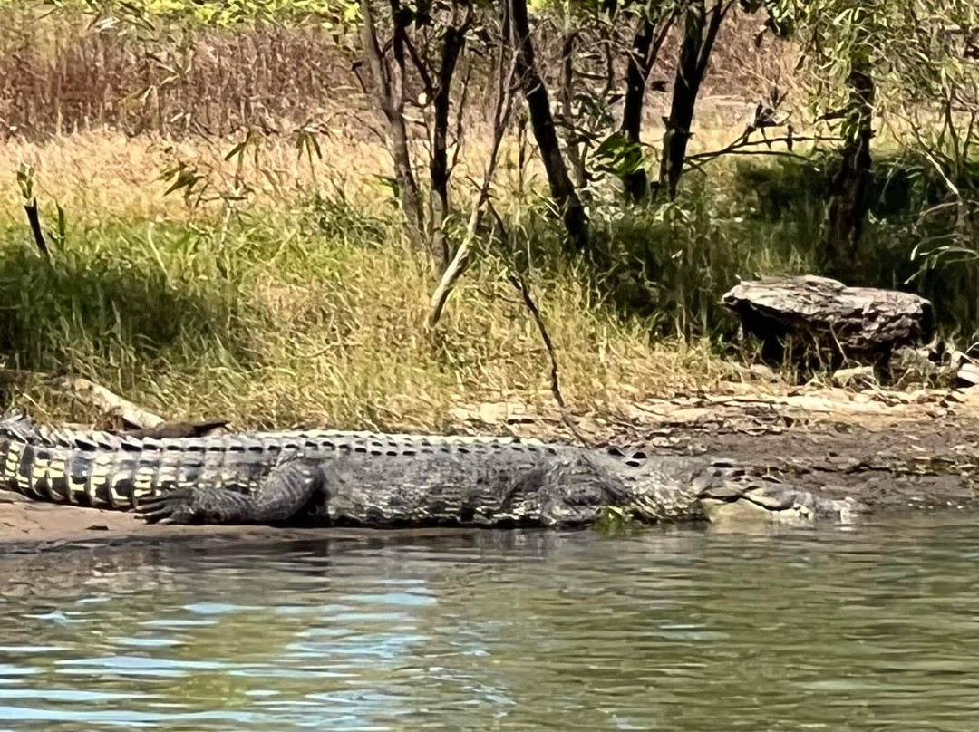 Kakadu Cultural Tours-Jabiru必去景点