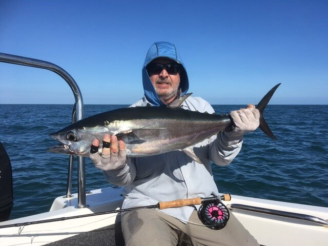 Fish's Fly And Sportfishing