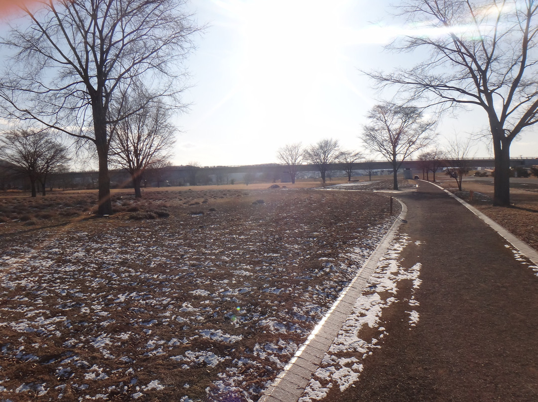 Kaoryanse Park