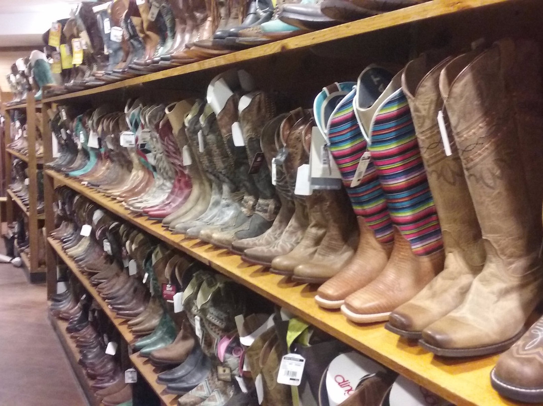 Grifs Western-戴维必去景点