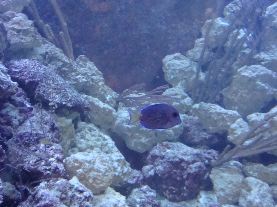 Florida Keys Eco-Discovery Center